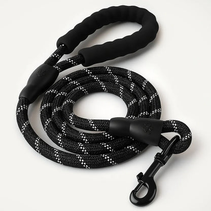SecureStride Reflective Nylon Leash