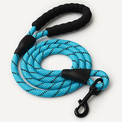 SecureStride Reflective Nylon Leash