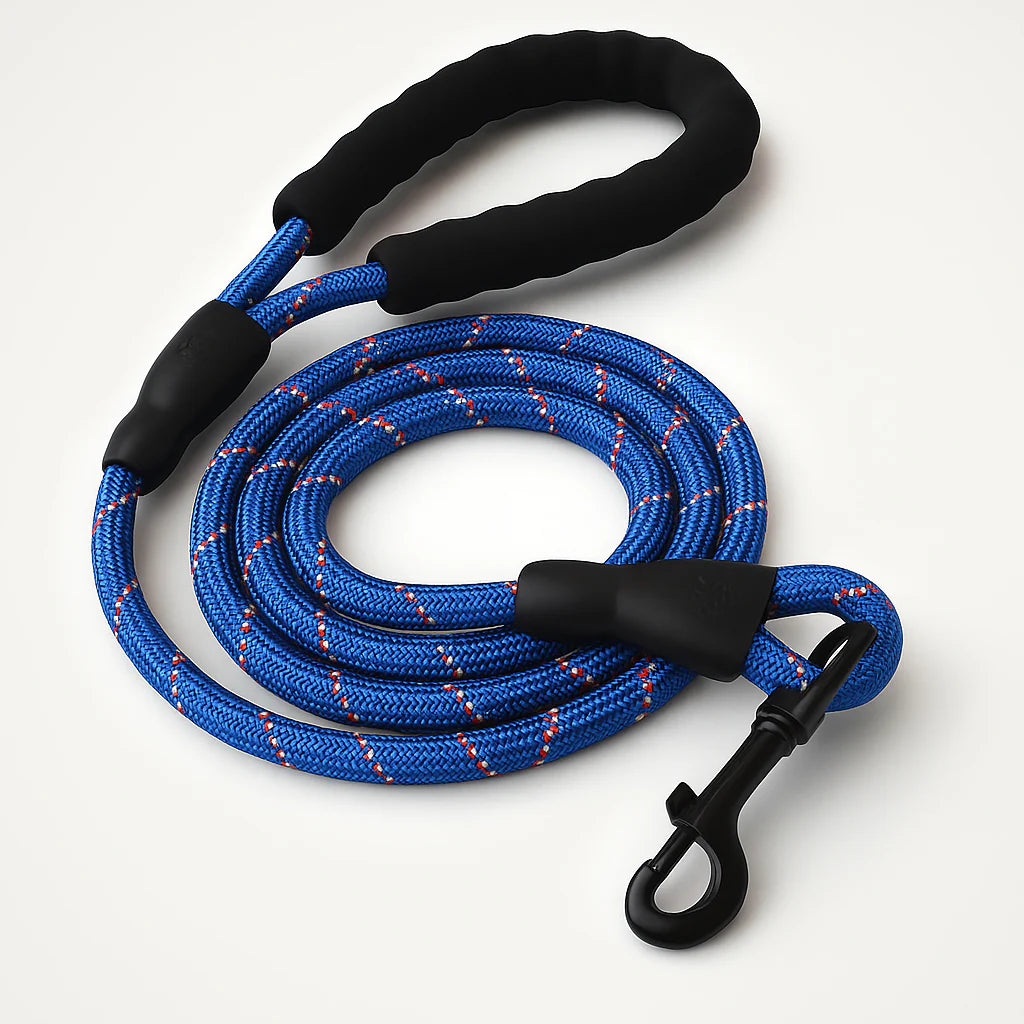 SecureStride Reflective Nylon Leash