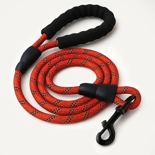SecureStride Reflective Nylon Leash