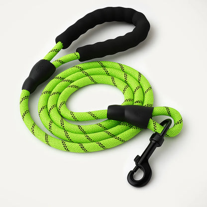 SecureStride Reflective Nylon Leash