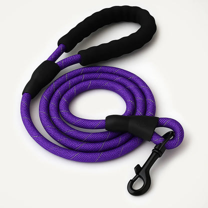 SecureStride Reflective Nylon Leash