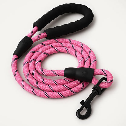 SecureStride Reflective Nylon Leash