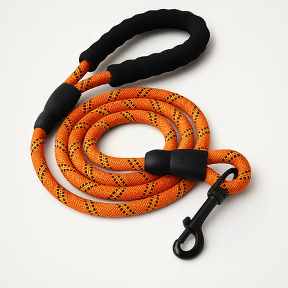 SecureStride Reflective Nylon Leash