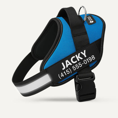 SecureStripe Personalized Dog Harness