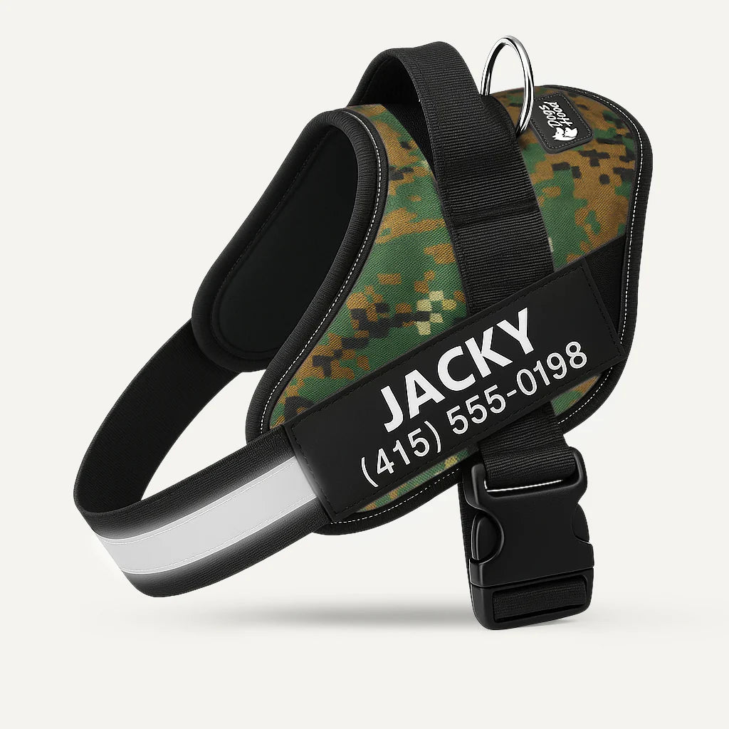 SecureStripe Personalized Dog Harness