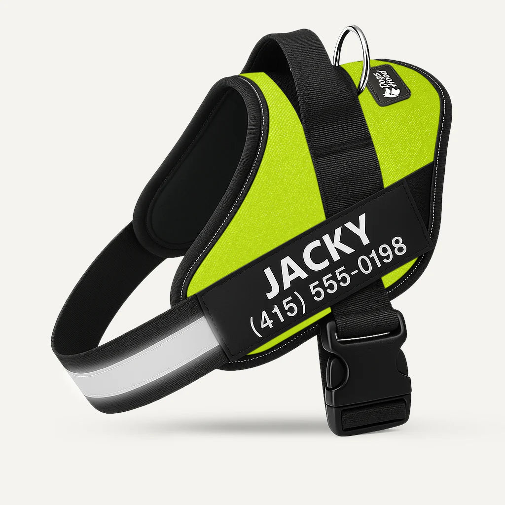 SecureStripe Personalized Dog Harness