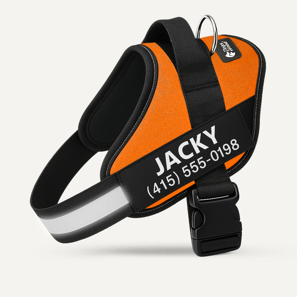 SecureStripe Personalized Dog Harness