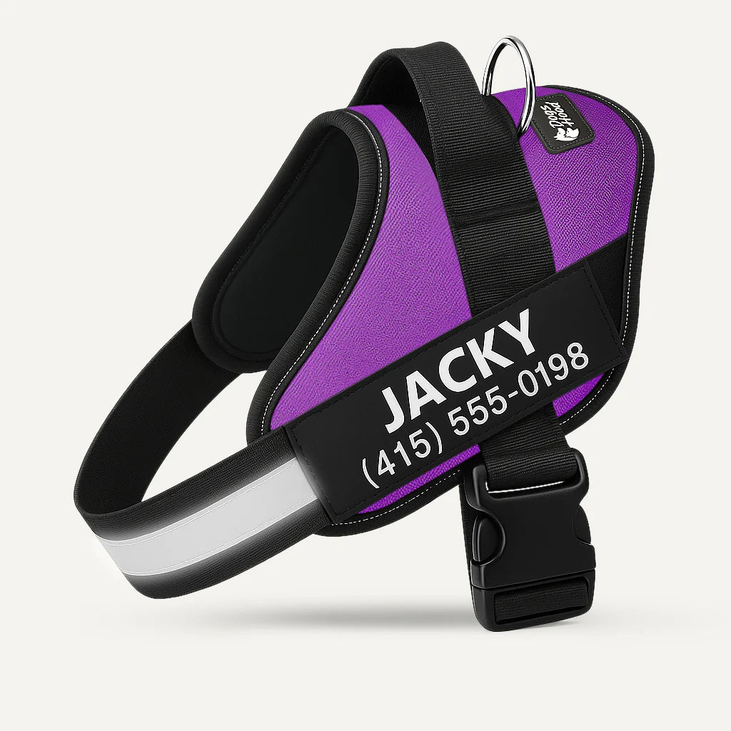SecureStripe Personalized Dog Harness