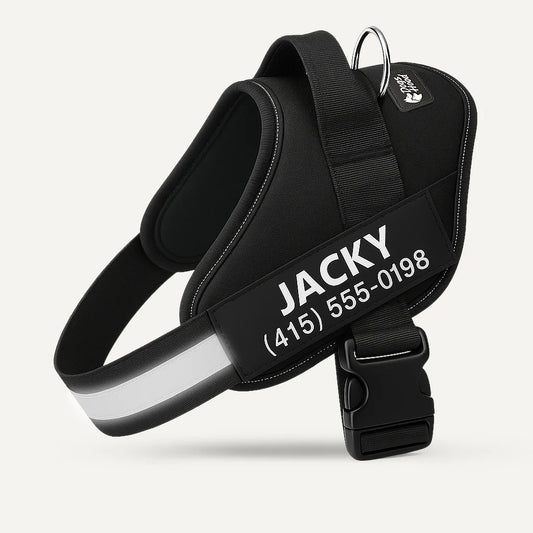 SecureStripe Personalized Dog Harness