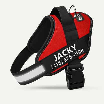 SecureStripe Personalized Dog Harness